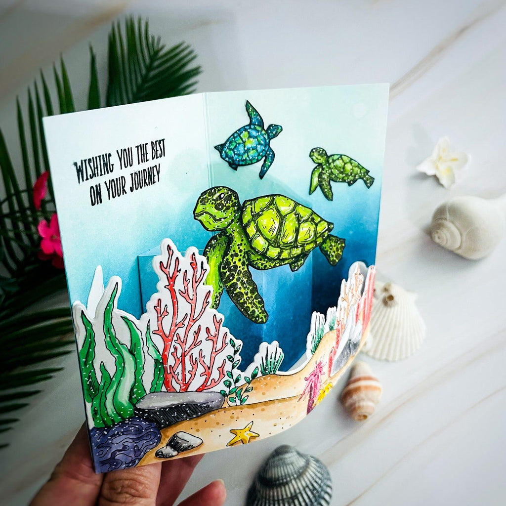 Picket Fence Studios A Sea Turtle's Journey Dies oc-135d ocean