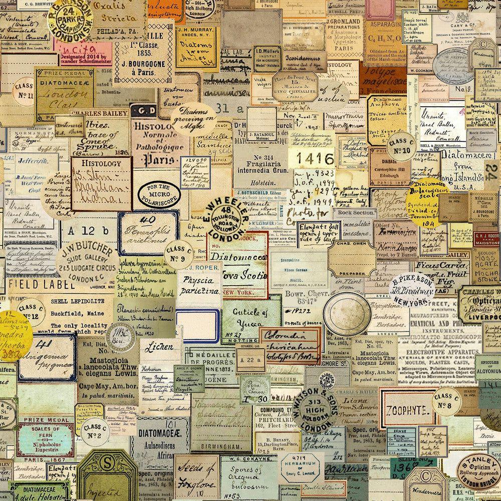 Tim Holtz Eclectic Elements Laboratory Fabric By The Yard Curator