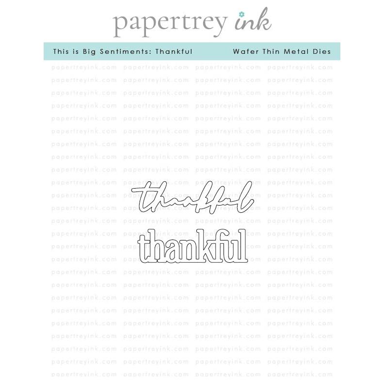 Papertrey This is Big Sentiments Thankful Dies pti-0836