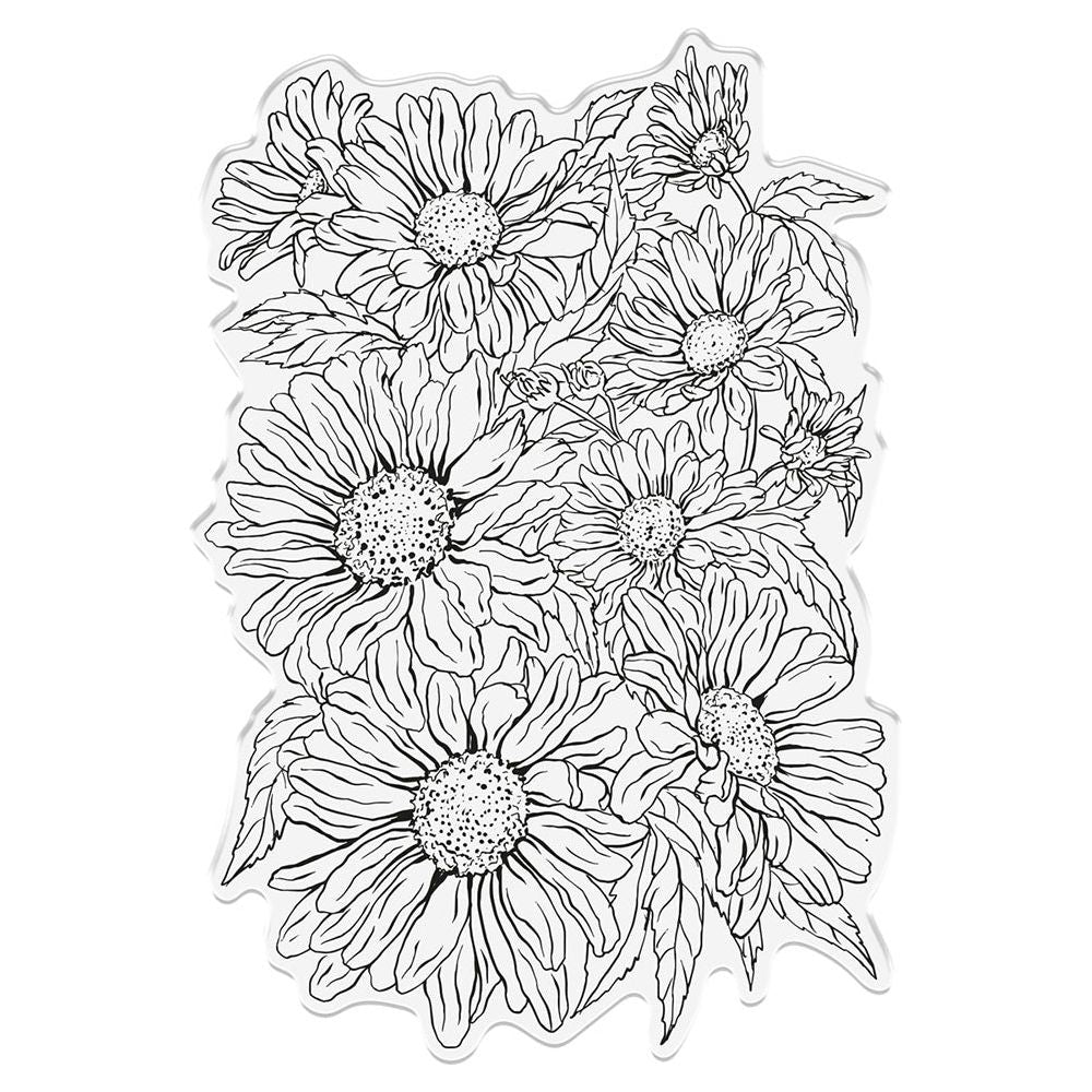 Crafter's Companion Delightful Daisies Clear Stamp sd-itf-bf-stp-dd Detailed Product View