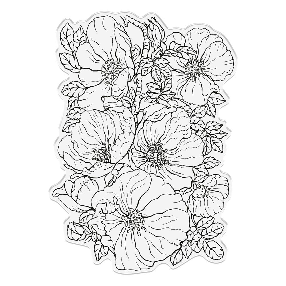 Crafter's Companion Wild Roses Clear Stamp sd-itf-bf-stp-wr Detailed Product View