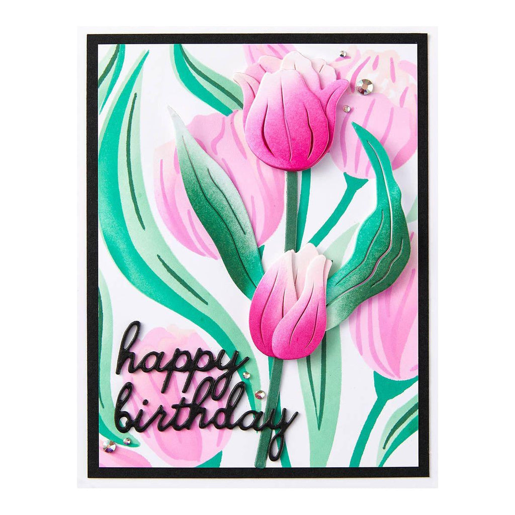 bd-0846 Spellbinders Twirling Tulips 3D Embossing Folder and Stencil Set birthday