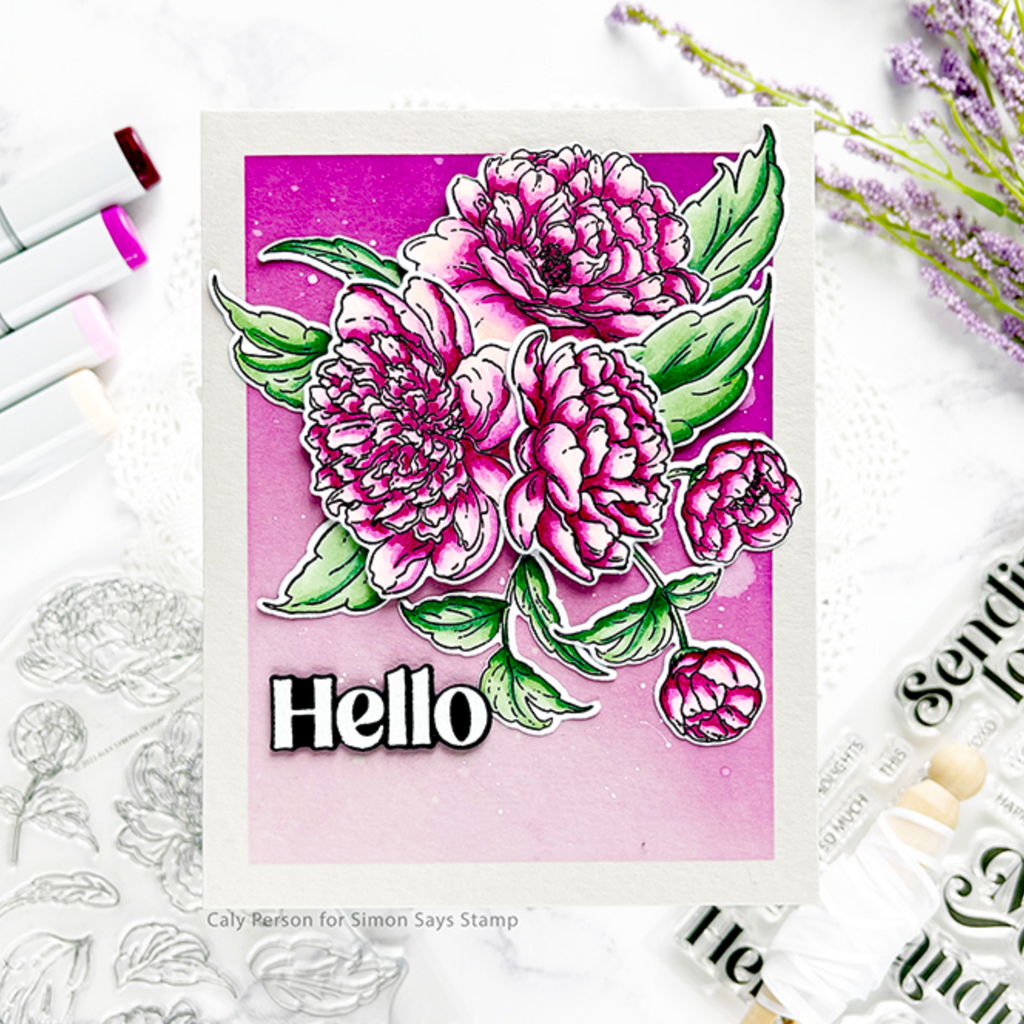 Alex Syberia Designs For Her Sentiments Clear Stamp Set asdsta71 Hello | color-code:ALT02