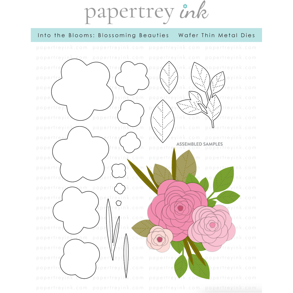 Papertrey Ink Into The Blooms Blossoming Beauties Dies PTI-0633