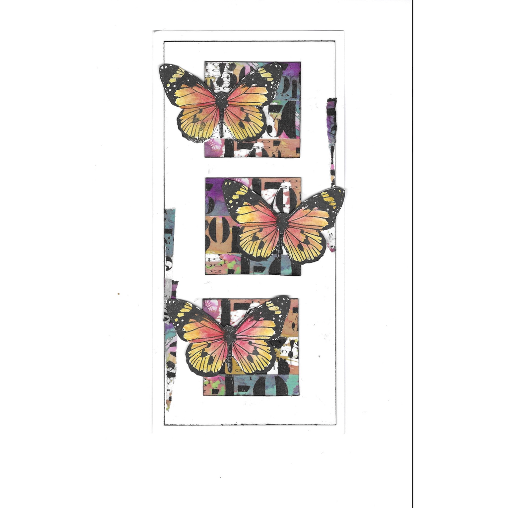 AALL & Create Arithmetical Washi Tape aalwt48 butterfly