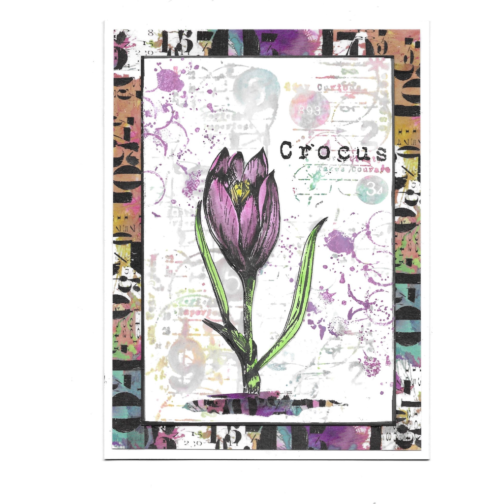 AALL & Create Arithmetical Washi Tape aalwt48 crocus