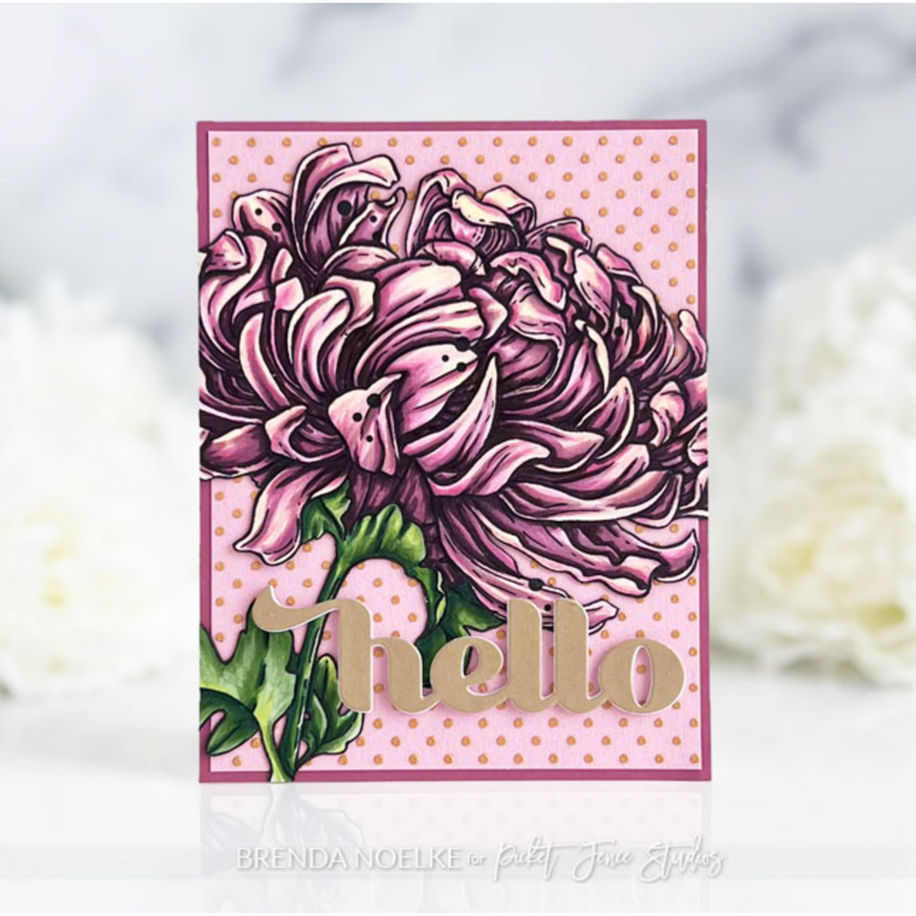 Picket Fence Studios Blooming Chrysanthemum Clear Stamps f-173 hello card