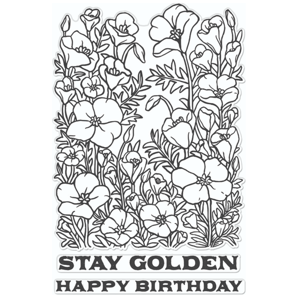 Hero Arts Clear Stamps Golden Poppies CM724