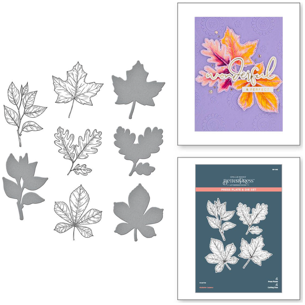 BP-082 Spellbinders Autumn Leaves Press Plate and Die Set detailed product photo