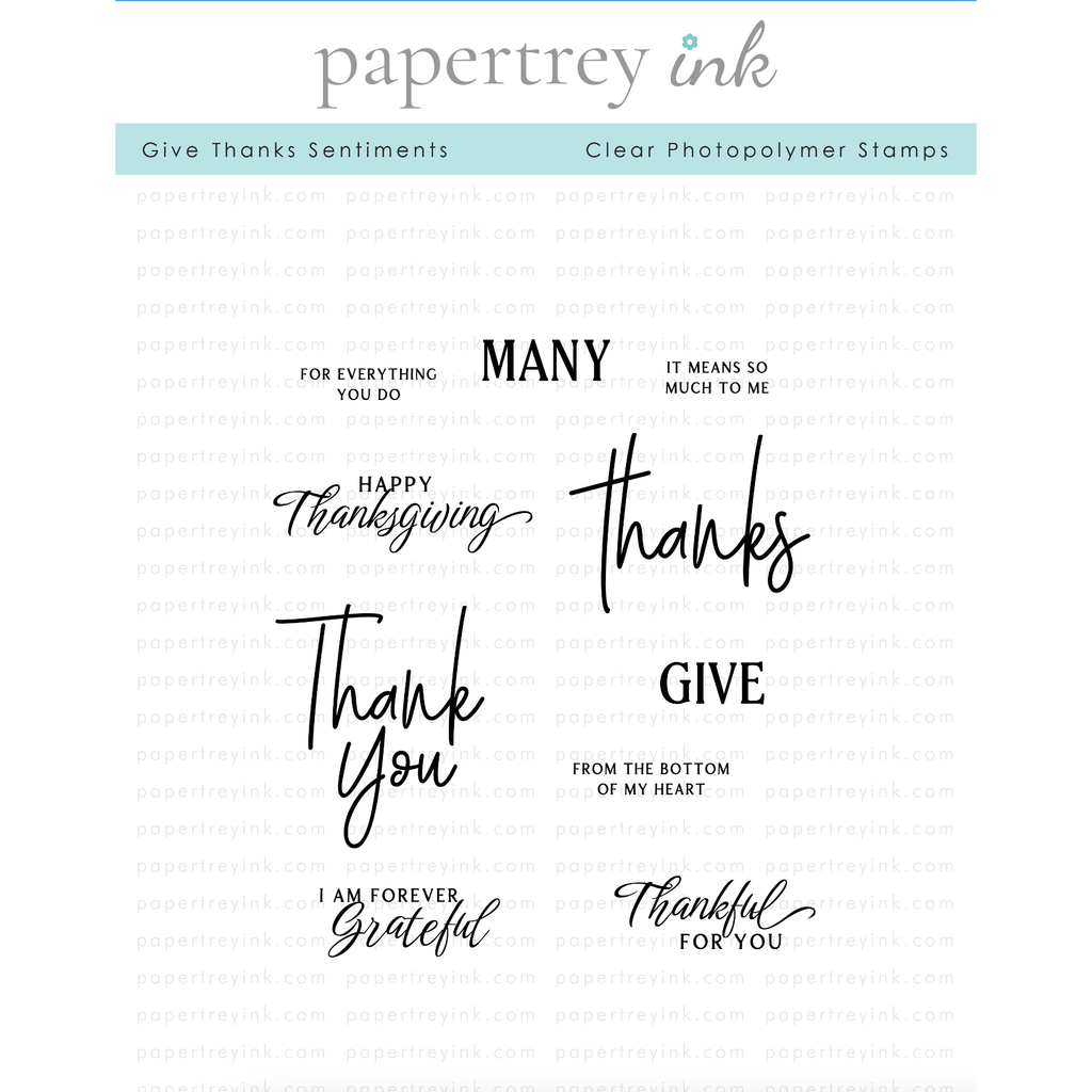 Papertrey Ink Give Thanks Sentiments Clear Stamps 1529