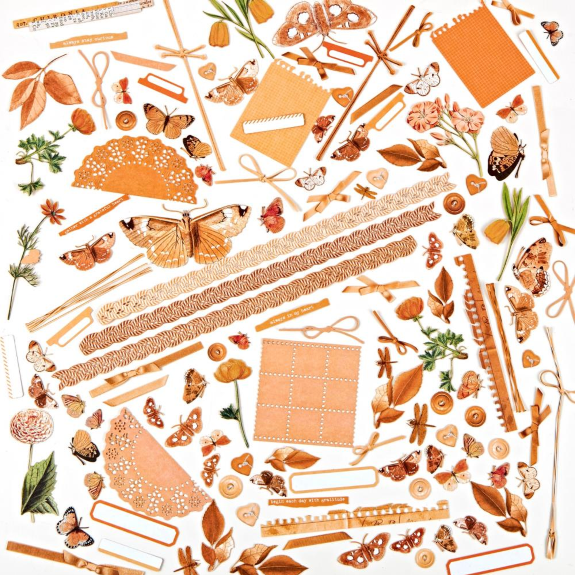 49 and Market Color Swatch Peach - Laser Cut Elements