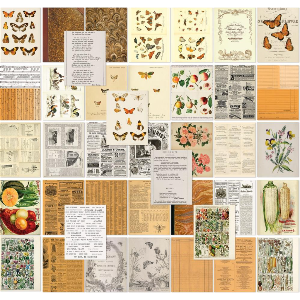 49 and Market Color Swatch Peach Collage Sheets csp-24982 product image