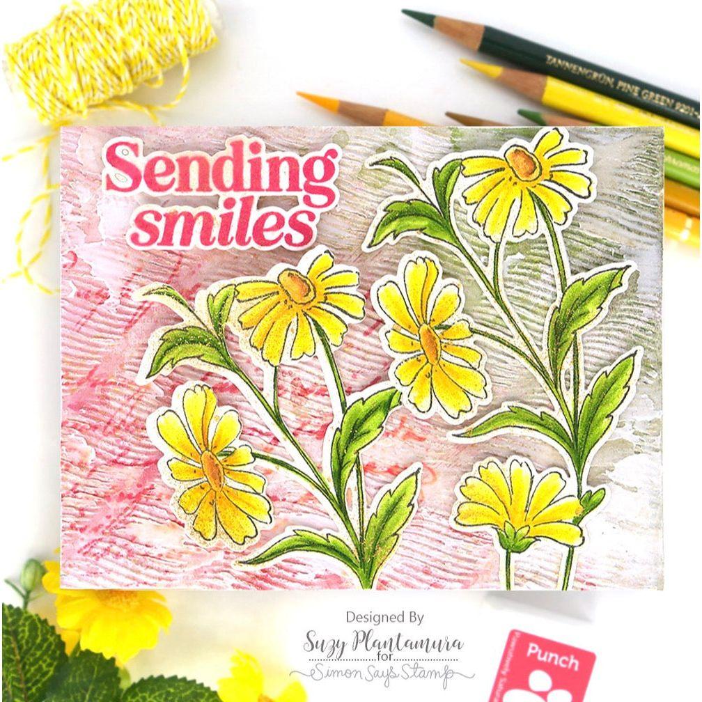 Simon Says Stamp Embroidery Wafer Dies sss486 Floral Card | color-code:ALT02