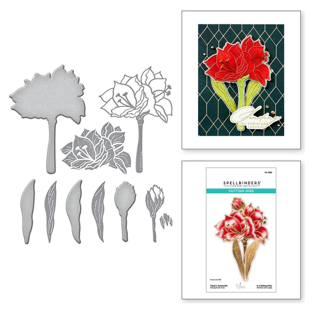 Spellbinders Yana's Amaryllis Etched Dies s4-1388
