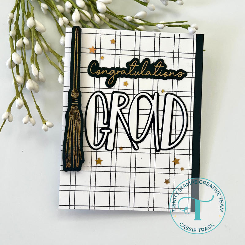 Trinity Stamps Double Line Check Background Stamp tps-253 Neutral Pattern Graduation Card