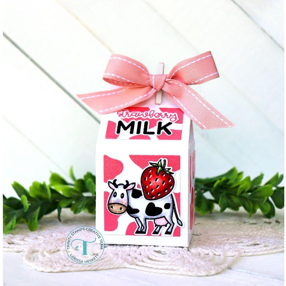 Trinity Stamps Milk Carton Die Set tmd-294 bow