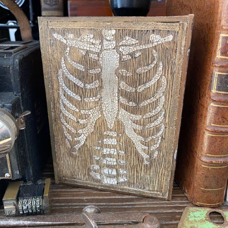 Tim Holtz Layering Stencil Bones ths185 bones | color-code:ALT01