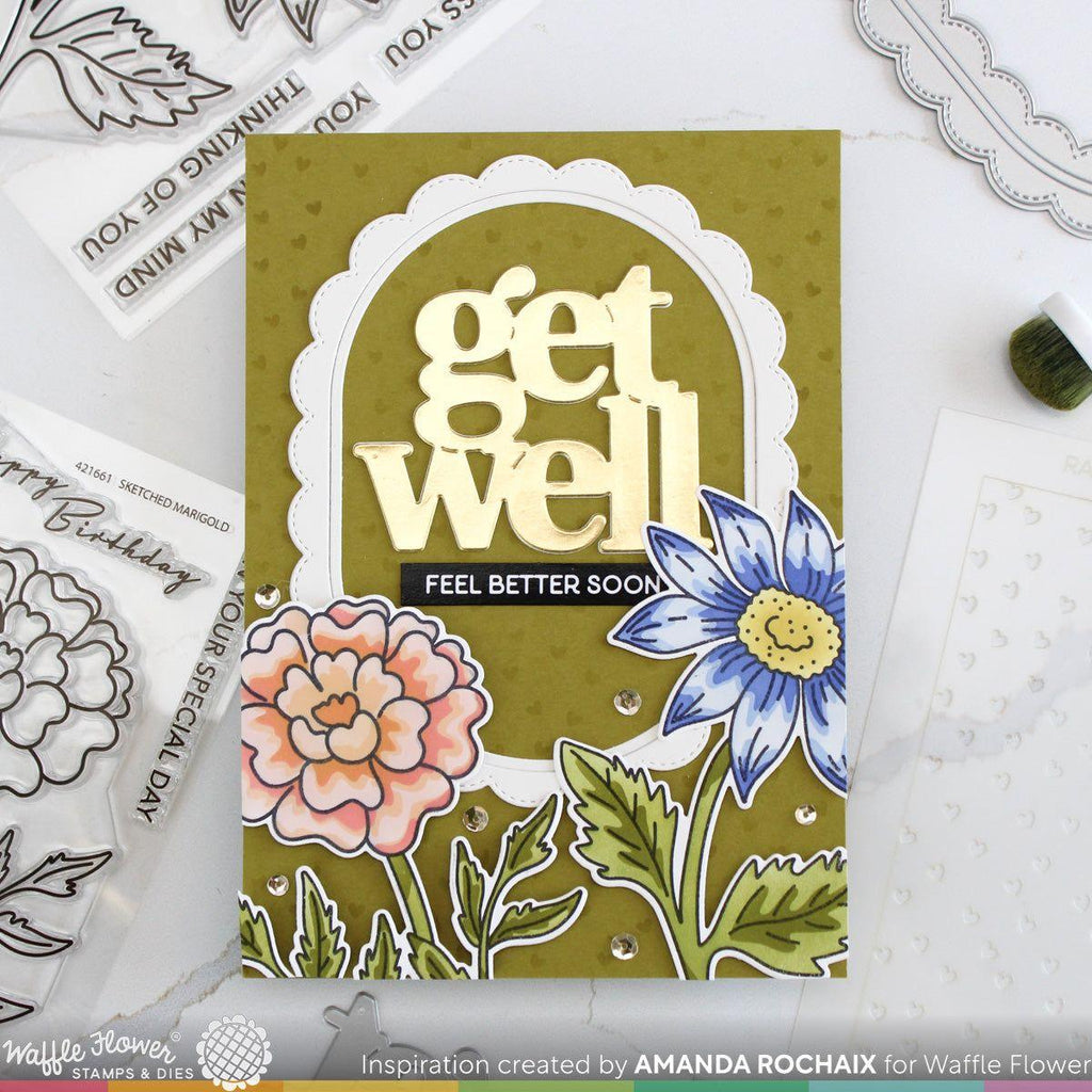 Waffle Flower Sketched Aster Clear Stamps 421655 get well