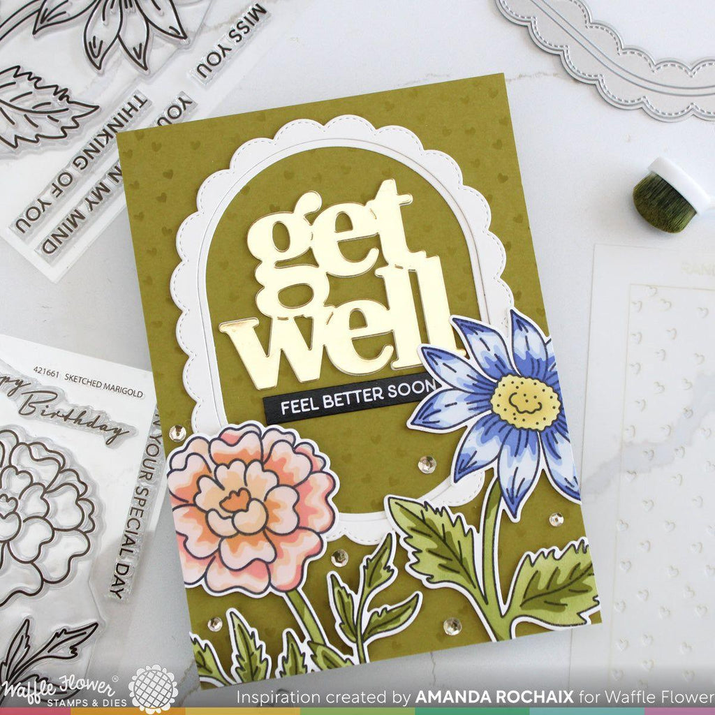 Waffle Flower Sketched Aster Clear Stamps, Stencils and Matching Die Set get well