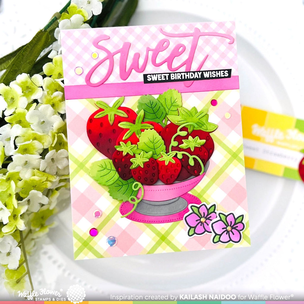 Waffle Flower Sweet Plates Clear Stamp and Die Set wfc1483 sweet birthday wishes