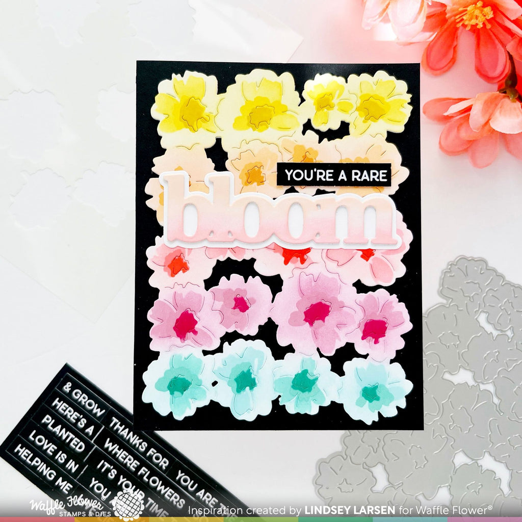 Waffle Flower Painted Flowers Background Die and Coordinating Stencil Set you're a rare bloom