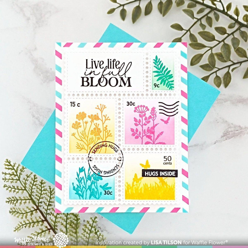 Waffle Flower Wild Flower Silhouettes Clear Stamps 421691 full bloom