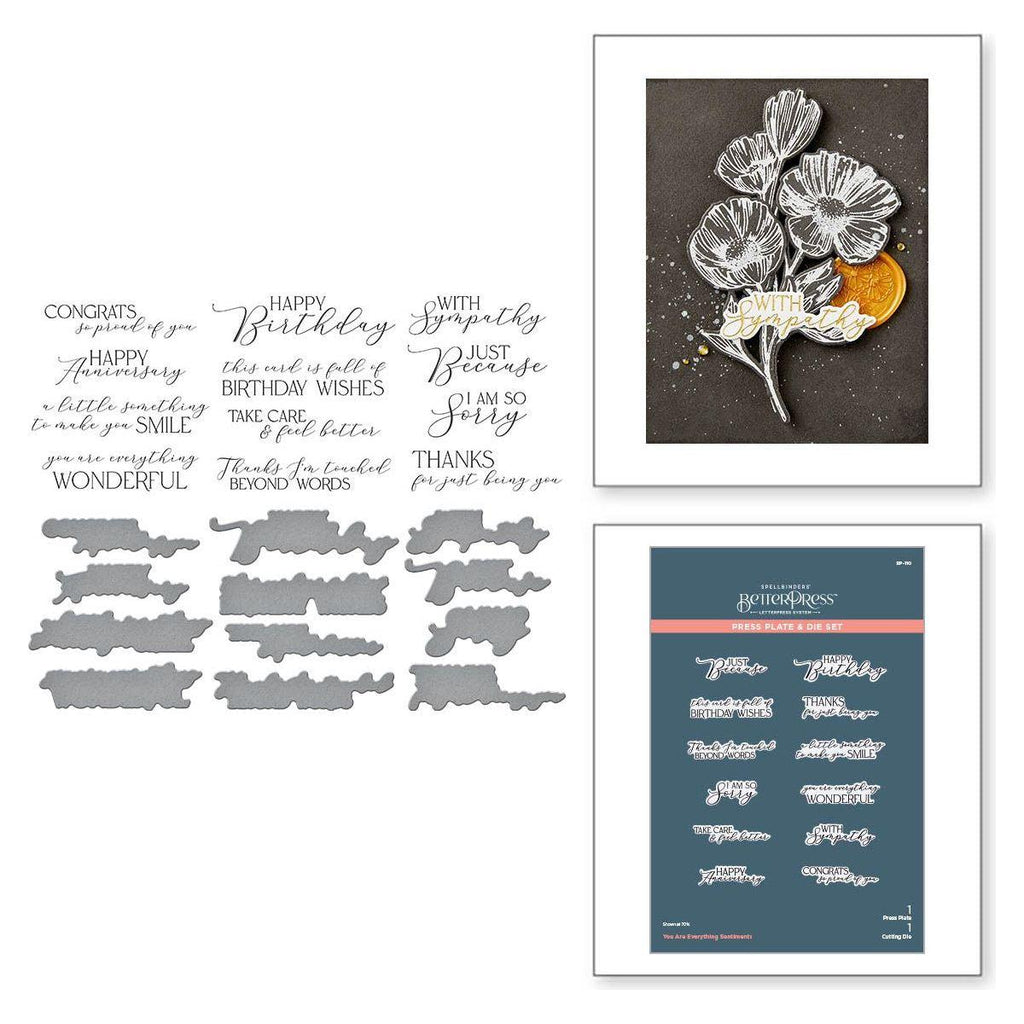 bp-110 Spellbinders You are Everything Sentiments Press Plate and Die Set product image