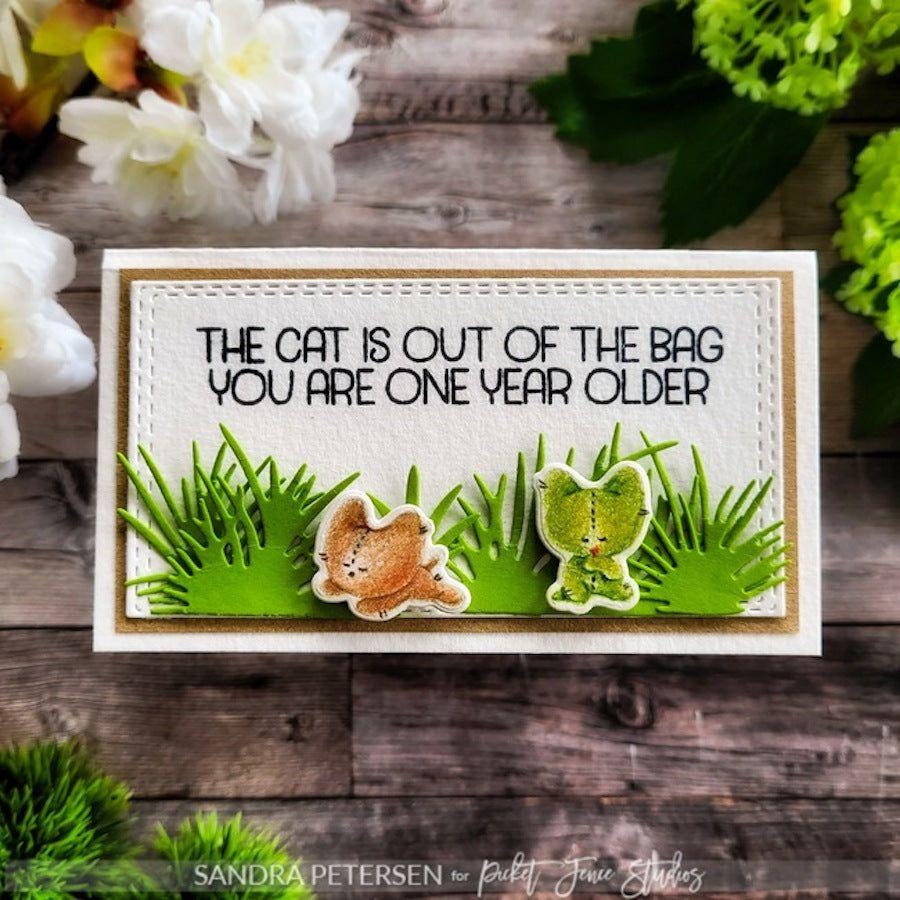 Picket Fence Studios Purr-fect for Me Dies a-167d one year older card