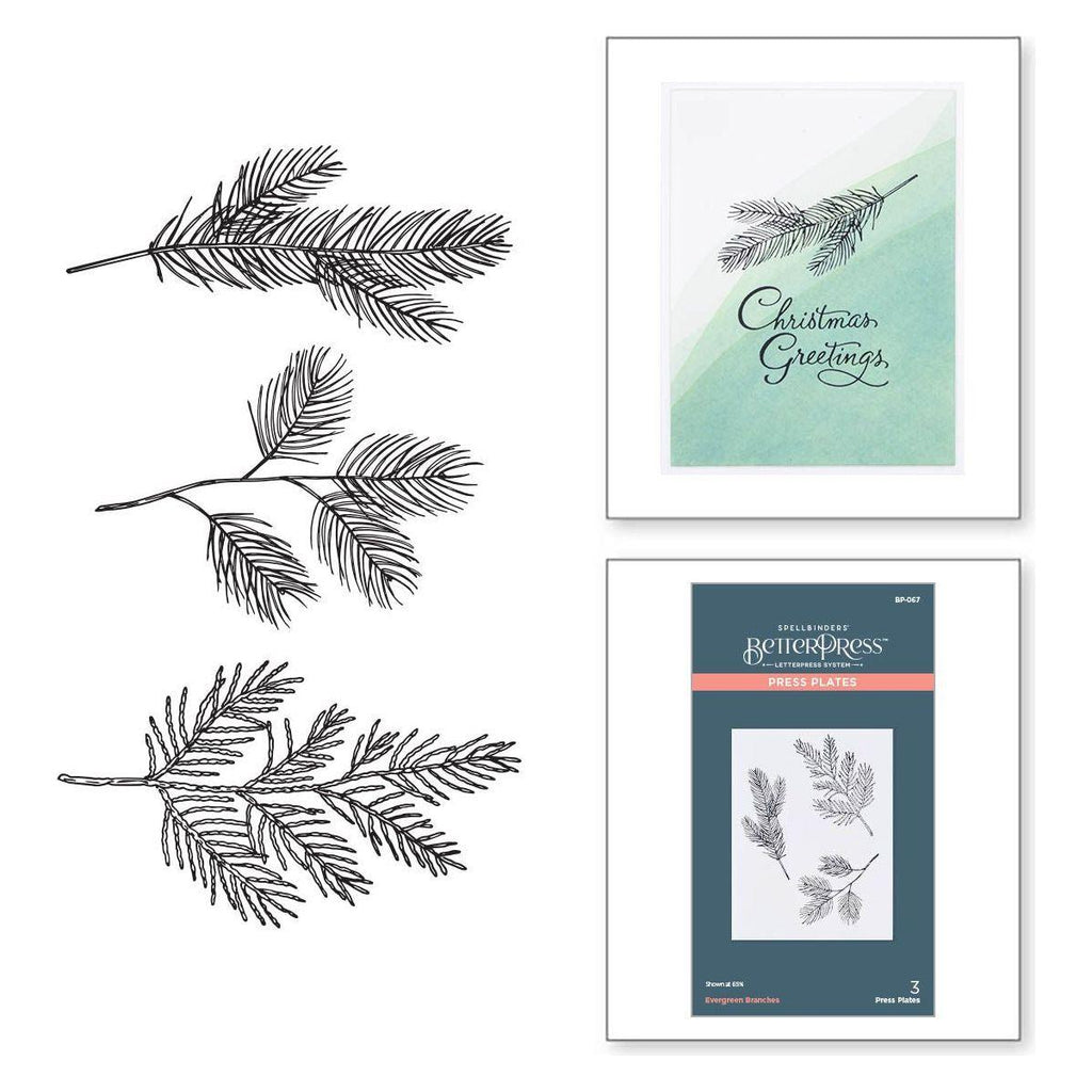 BP-067 Spellbinders Evergreen Branches Press Plates branches