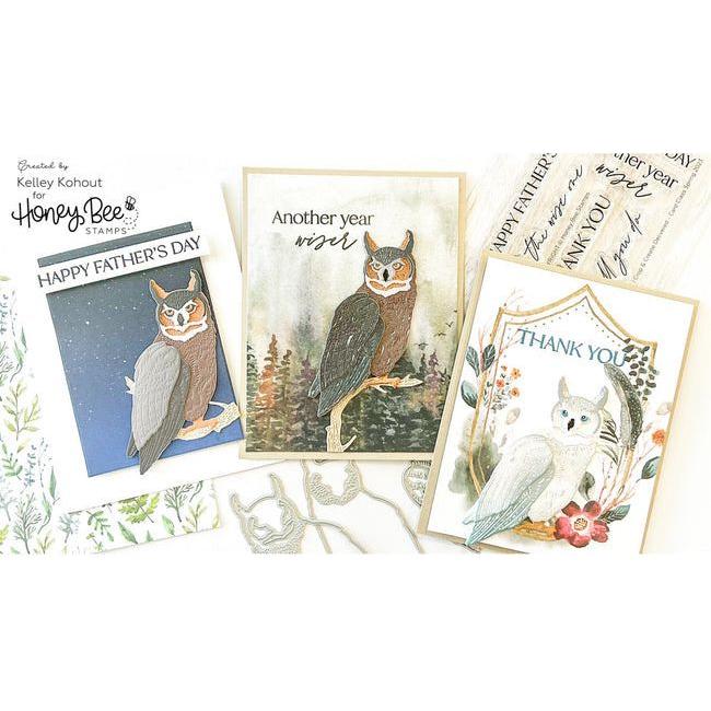 Honey Bee To The Wise One Clear Stamp Set hbst-489 Kelley Kohout Owl cards