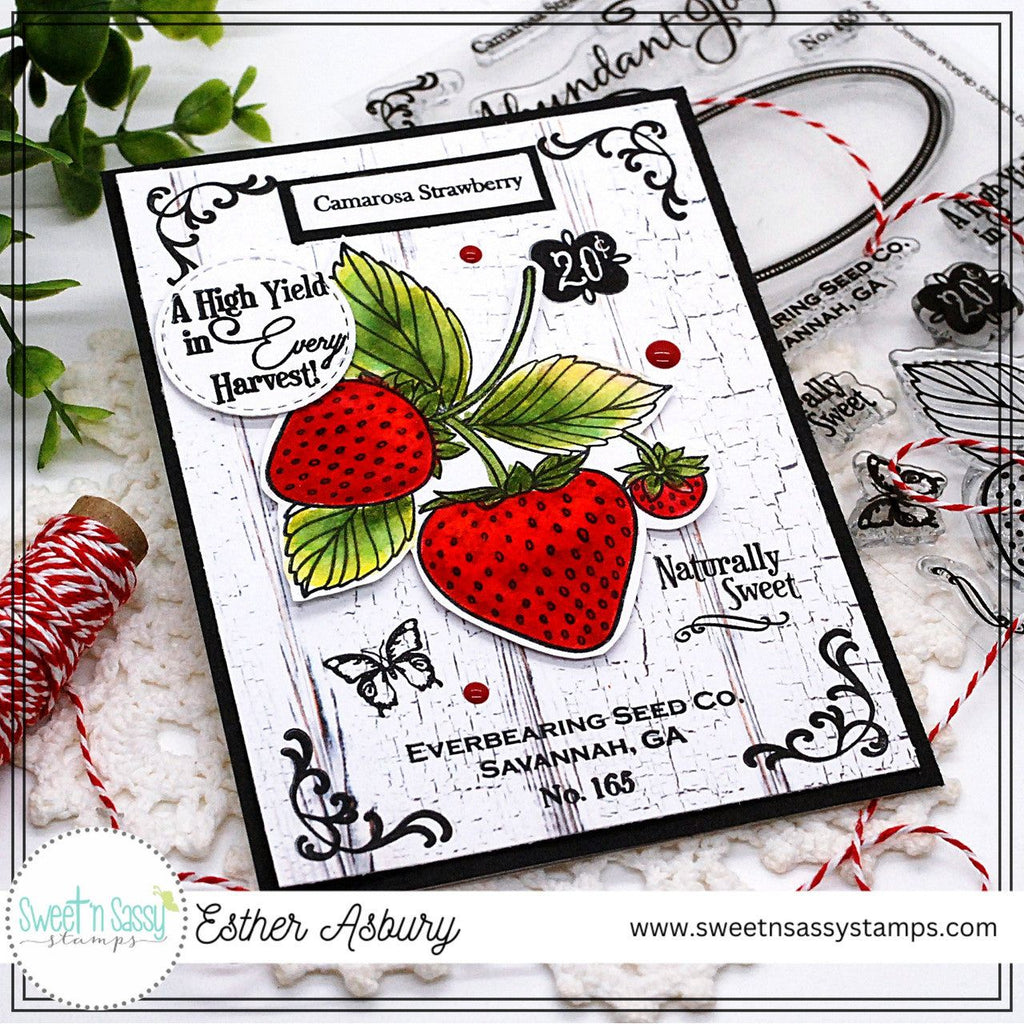 Sweet 'N Sassy Vintage Strawberry Seed Packet Clear Stamps cws-24-016 Harvest Card