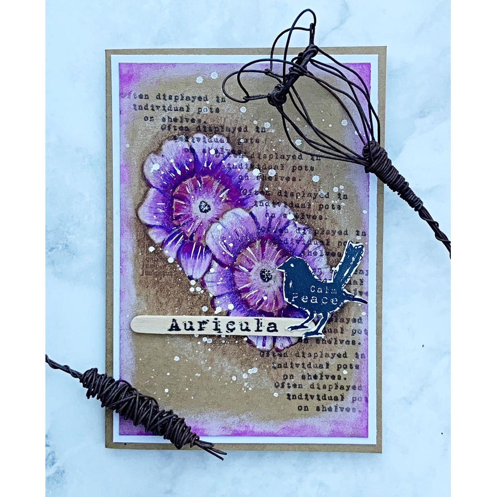 Tracy Evans Boutique Designs Auricula A7 Clear Stamps te002 bird