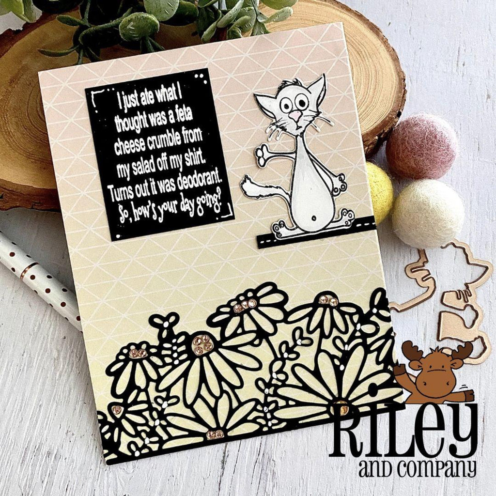 Riley And Company Funny Bones Feta Cheese Cling Rubber Stamp rwd-1155 Cheese