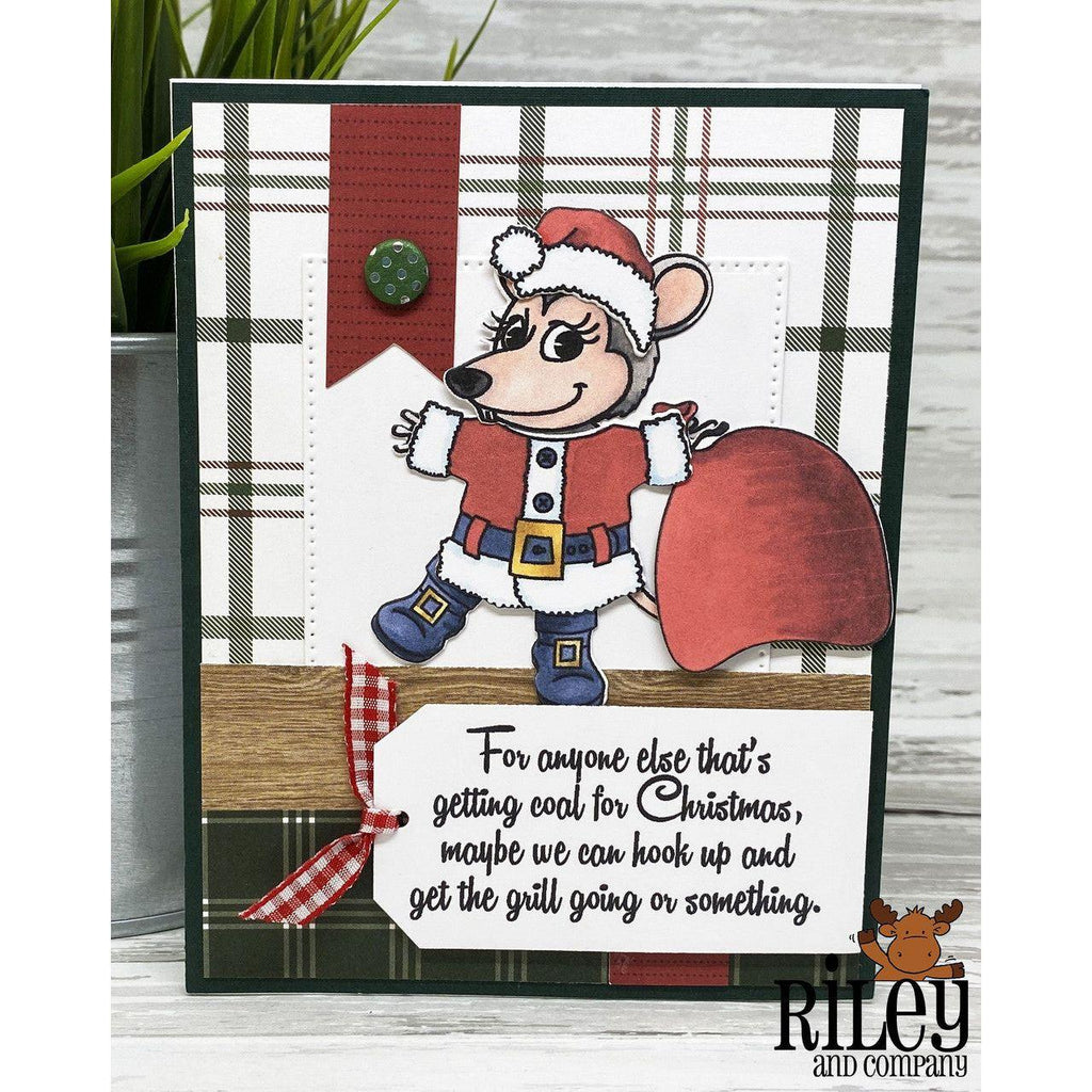 Riley And Company Dress Up Possum Clear Stamps dur005 santa paws