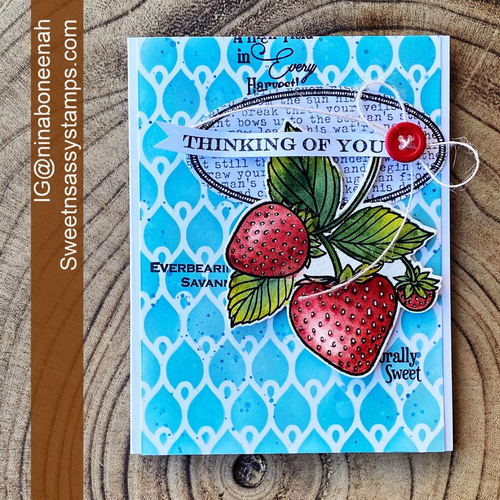 Sweet 'N Sassy Vintage Strawberry Seed Packet Dies cwsd-266 Thinking Of You Card