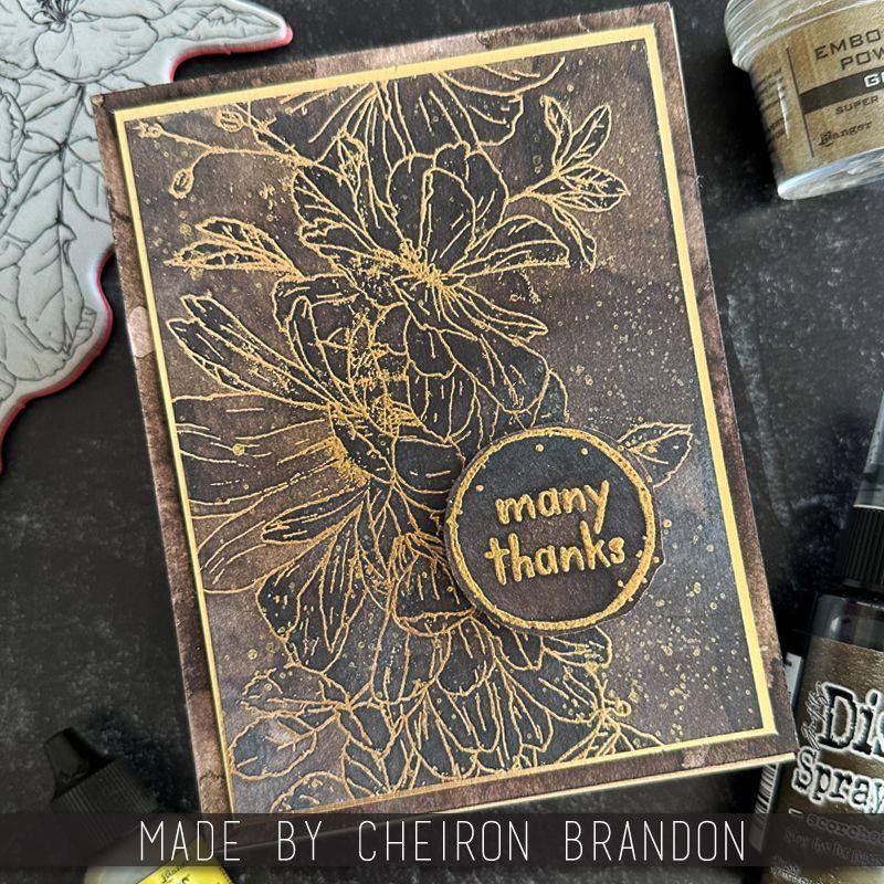 Tim Holtz Distress Oxide Reinker Scorched Timber January 2024 Ranger tdr83474 Many Thanks Card