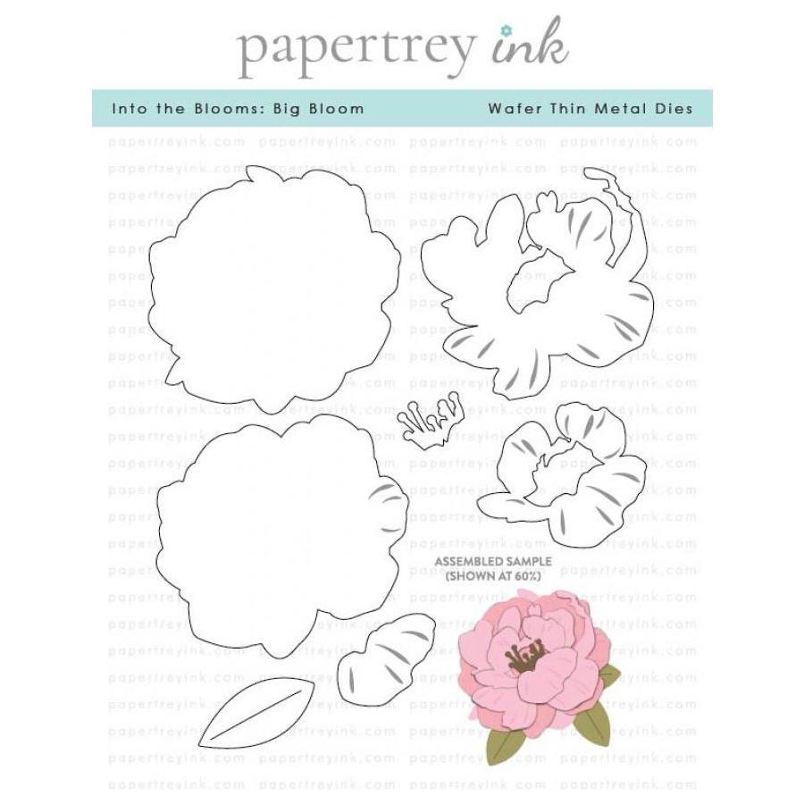 Papertrey Ink Into the Blooms Big Bloom Dies pti-0781