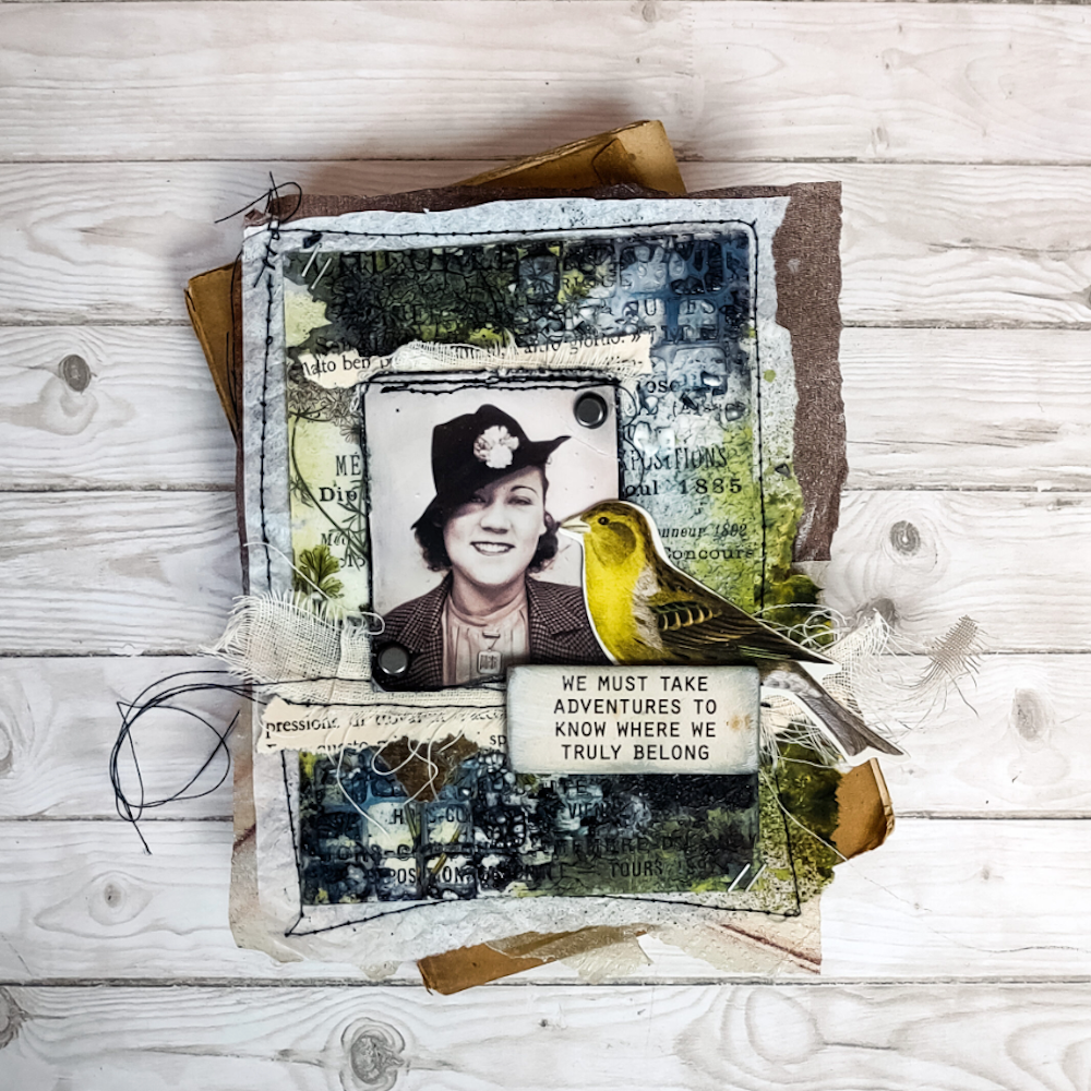 Tim Holtz Idea-ology Photomatic th94310 Adventure | color-code:ALT01