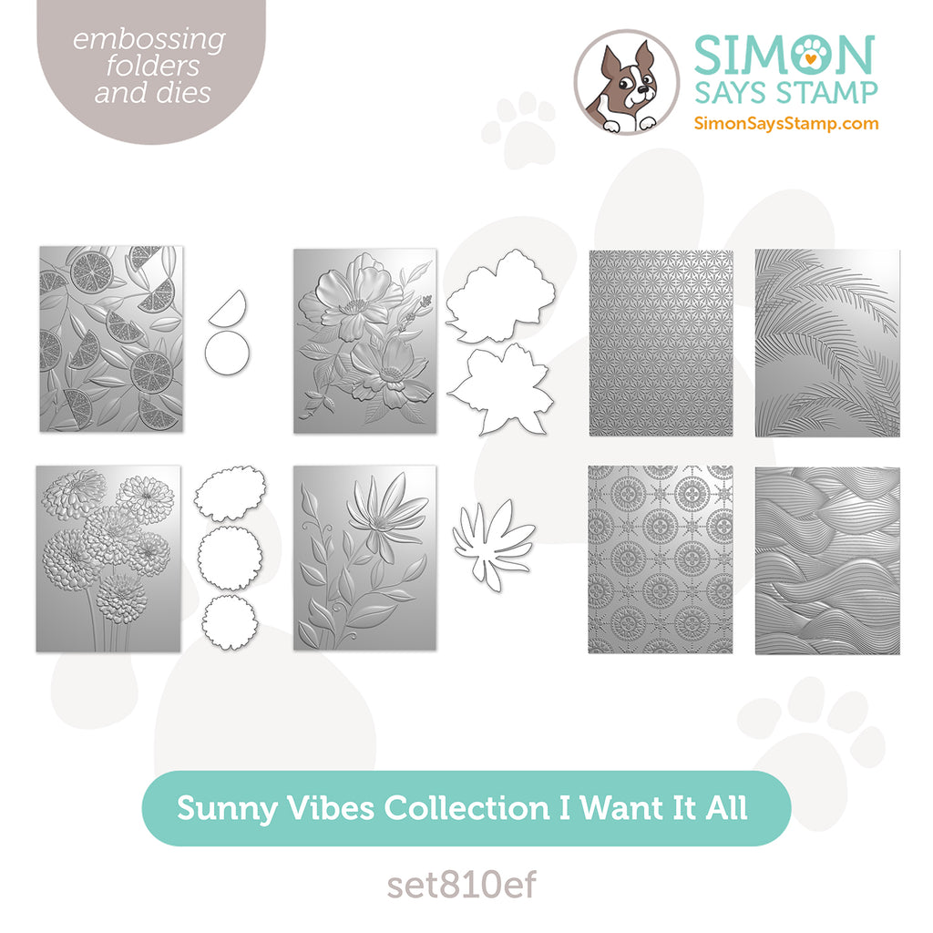 Simon Says Stamp Sunny Vibes Collection I Want It All Embossing Folders set810ef