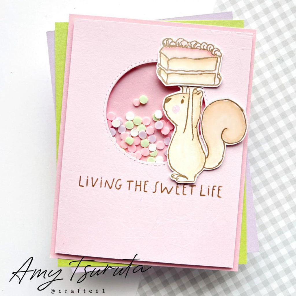 Colorado Craft Company Kris Lauren Sweet Life Clear Stamps kl990 shaker card