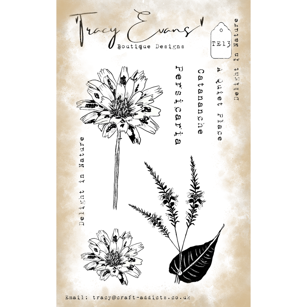 Tracy Evans Boutique Designs Design in Nature A6 Clear Stamps te13