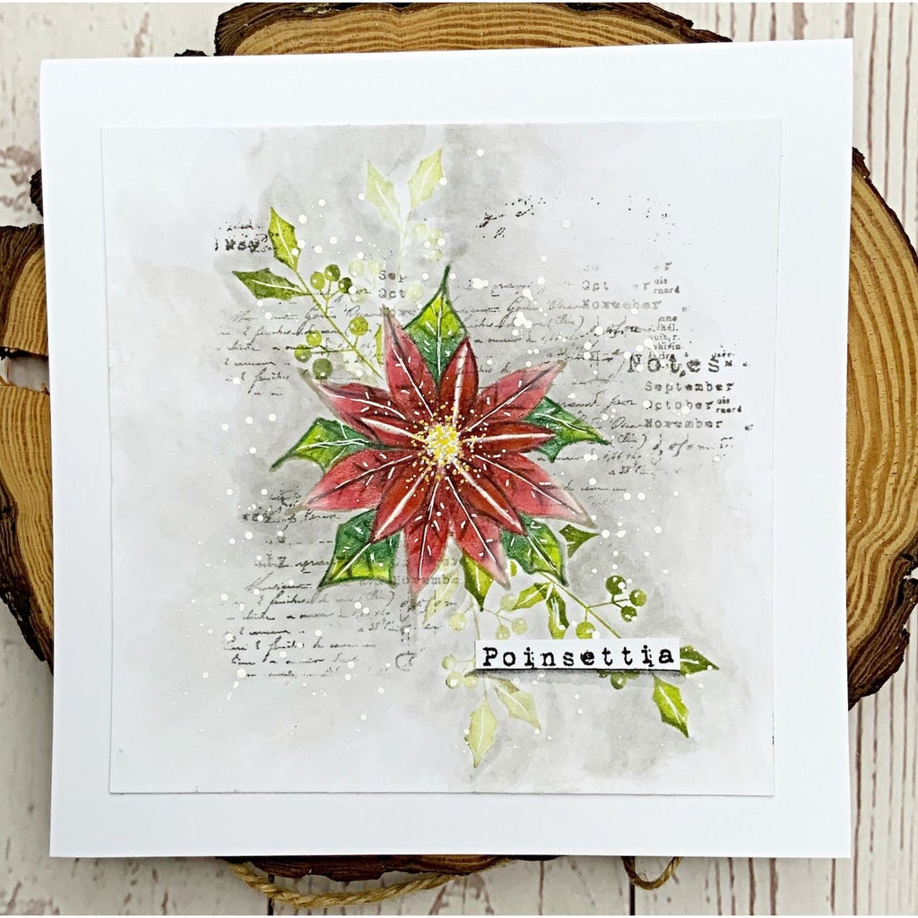 Tracy Evans Boutique Designs Poinsettia A7 Clear Stamps te20 floral