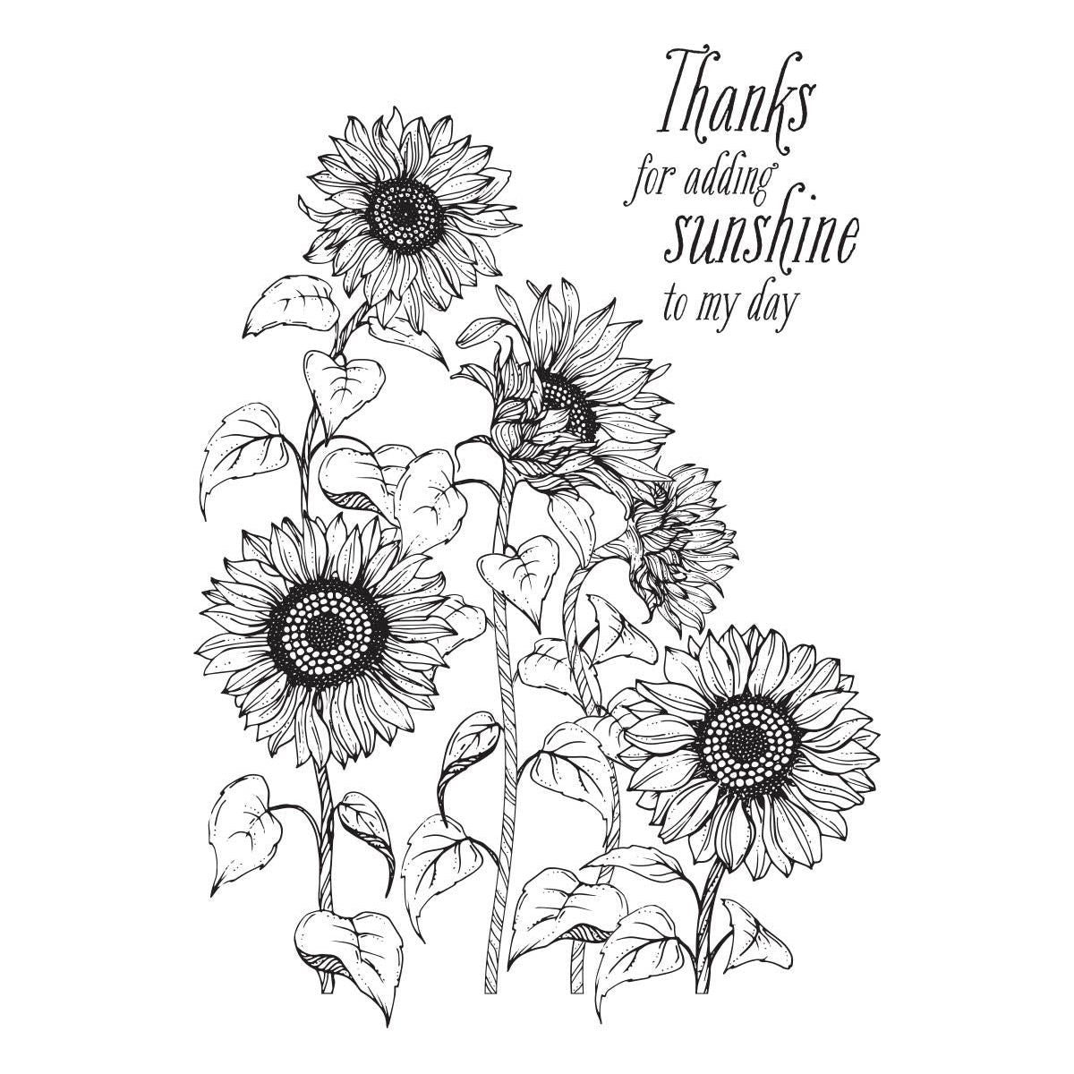 Sending Sunshine with Spellbinders - Pearblossom Press