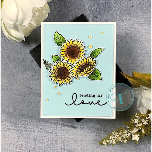 Simon Says Stamp! Trinity Stamps MODERN EMBOSSED RECTANGLE STACK Die Set tmd057 | color-code:ALT098