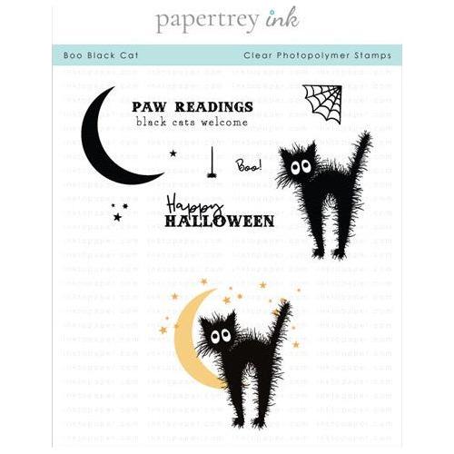 Simon Says Stamp! Papertrey Ink BOO BLACK CAT Clear Stamps 1322