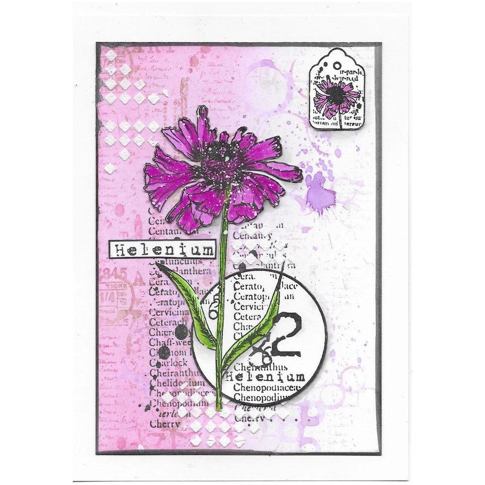 AALL & Create Flower Journey A5 Clear Stamps aall904 script