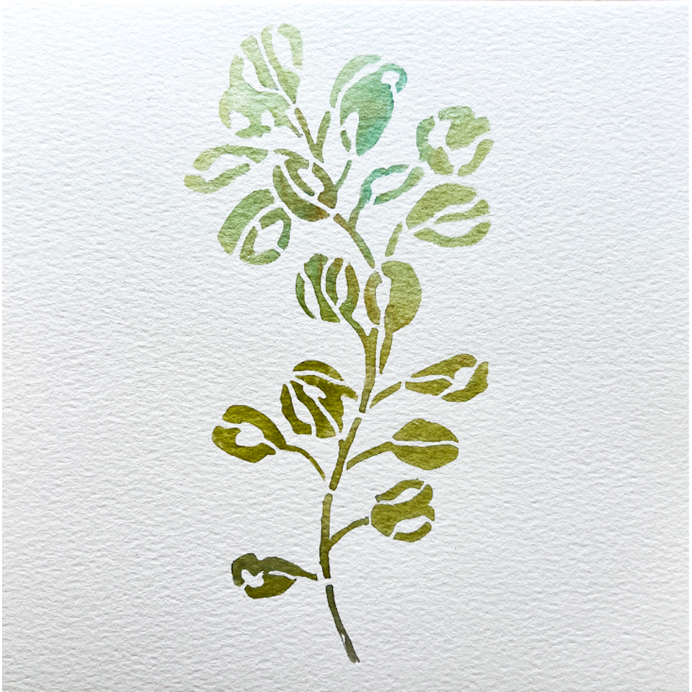 StencilGirl Eucalyptus Stems Stencil s945 - Watercolor